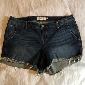 Torrid jean shorts